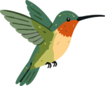 Hummingbird SVG Mid-Flight Vector