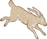 Jumping Hare SVG Dynamic Sketch Vector