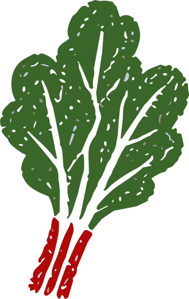 Kale Bunch SVG Fresh Harvest Vector