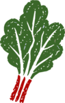 Kale Bunch SVG Fresh Harvest Vector