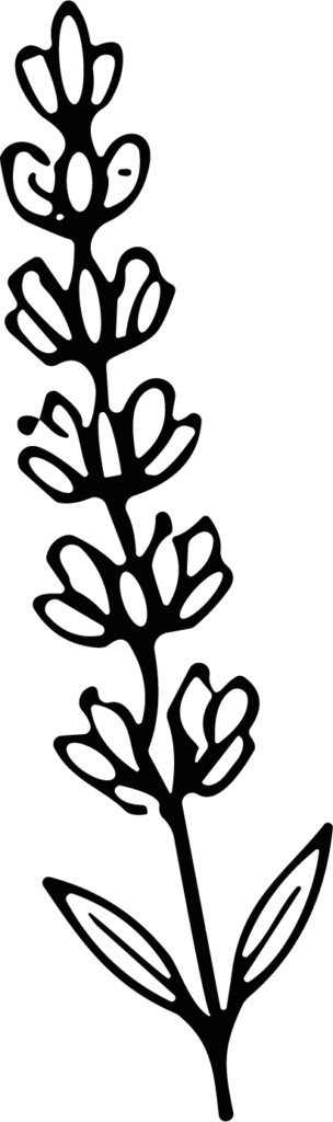 Lavender Sprig SVG Bold Botanical Vector