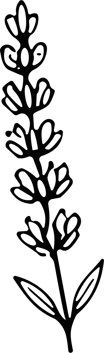 Lavender Sprig SVG Bold Botanical Vector - Image 1