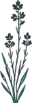 Lavender Sprigs SVG Moody Botanical Vector