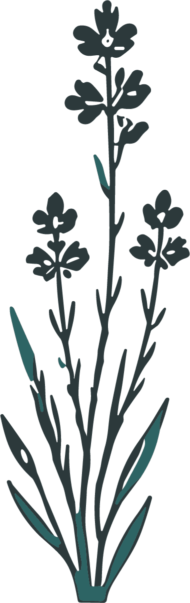 Lavender Sprigs SVG Moody Botanical Vector - Image 1