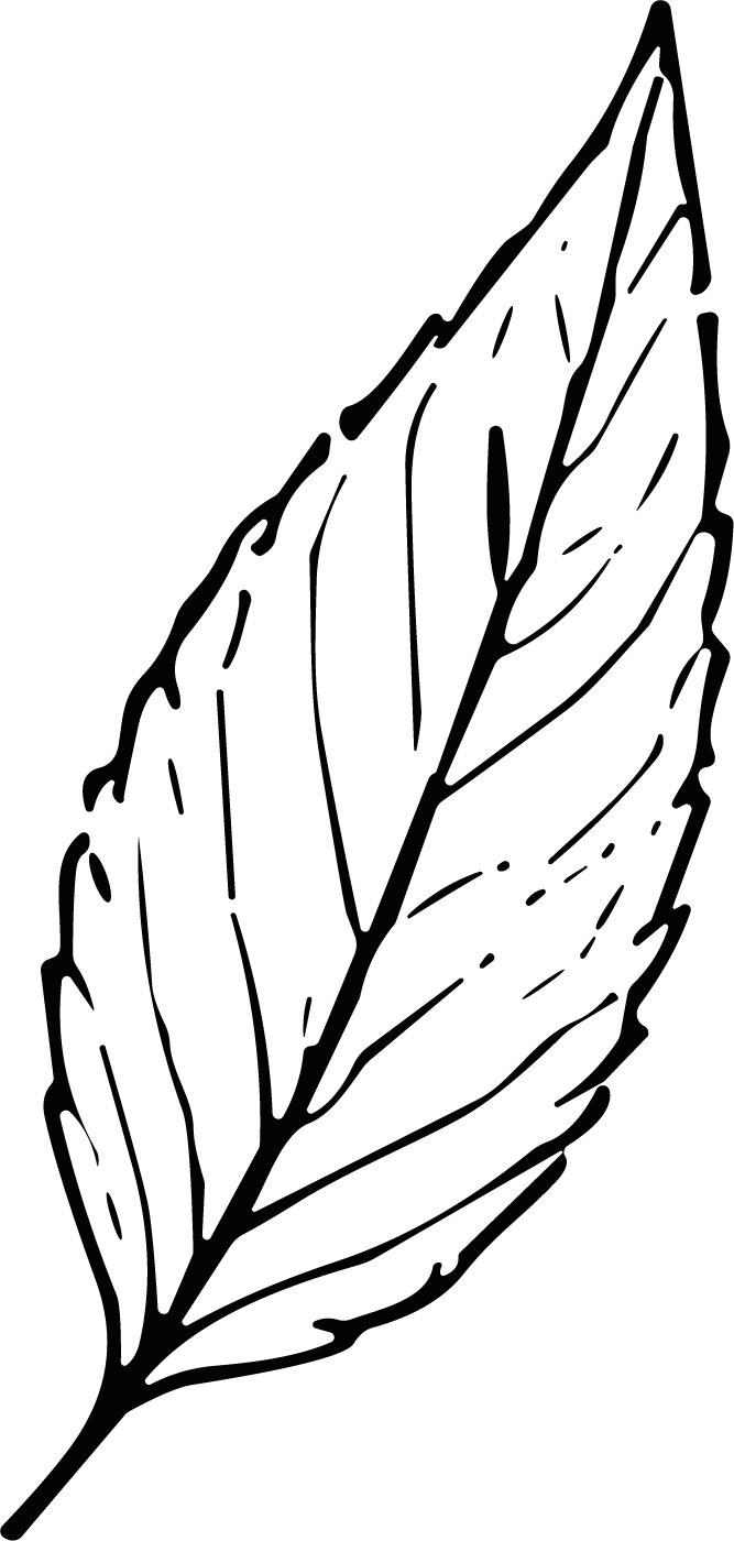 Leaf SVG Detailed Outline Vector - Image 1