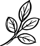 Leaf Branch SVG Bold Sketch Vector
