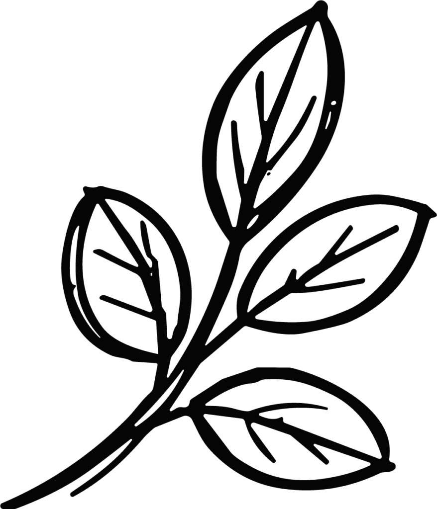 Leaf Branch SVG Bold Sketch Vector