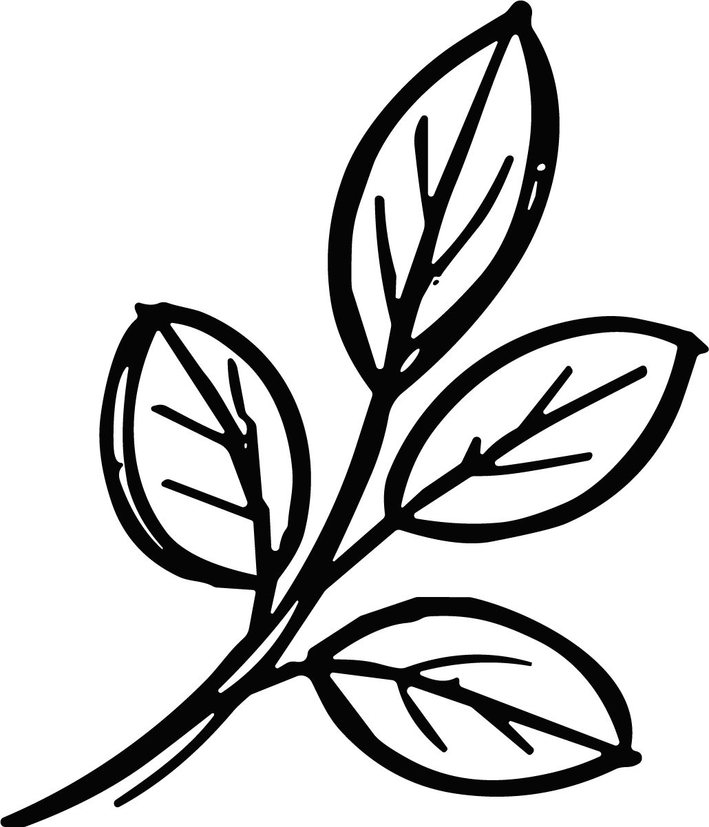 Leaf Branch SVG Bold Sketch Vector - Image 1