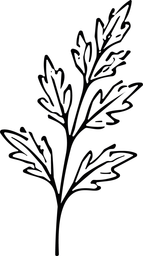 Leaf Branch SVG Detailed Outline Vector
