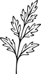 Leaf Branch SVG Detailed Outline Vector