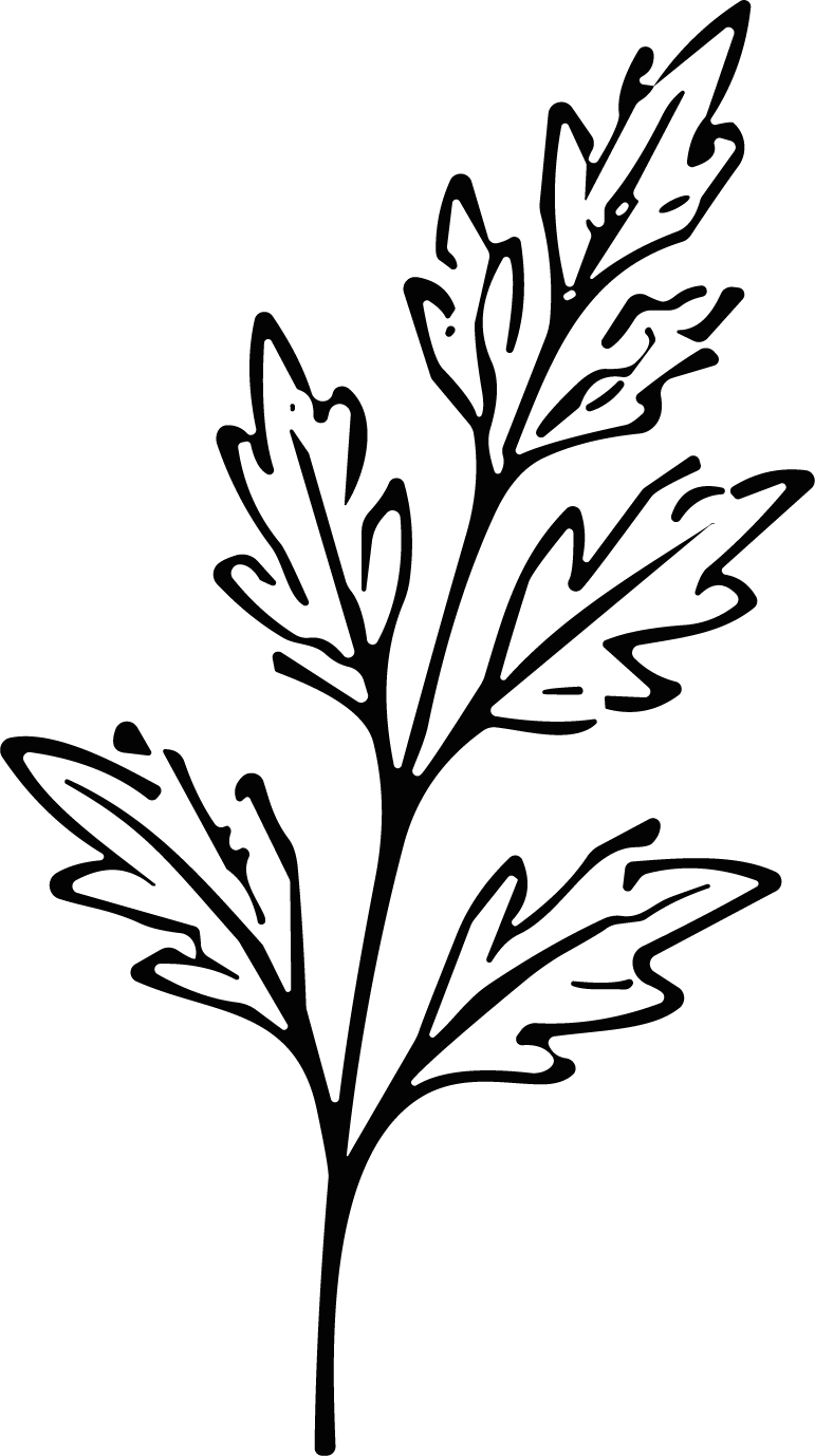 Leaf Branch SVG Detailed Outline Vector - Image 1