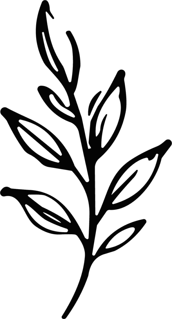 Leaf Branch SVG Bold Sketch Vector