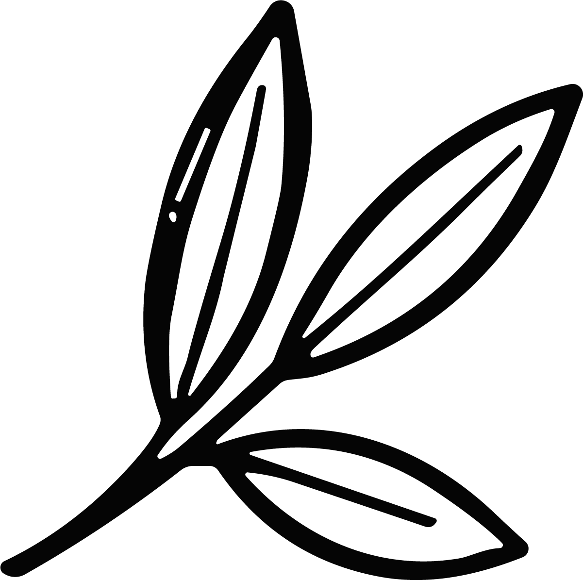 Leaf Branch SVG Bold Line Sketch Vector - Image 1
