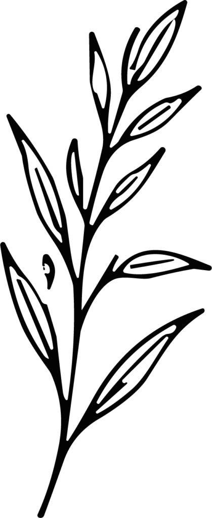 Leaf Branch SVG Flowing Botanical Vector