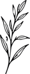 Leaf Branch SVG Flowing Botanical Vector