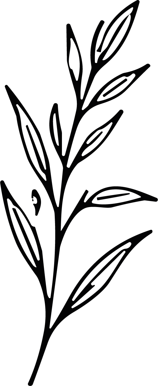 Leaf Branch SVG Flowing Botanical Vector - Image 1