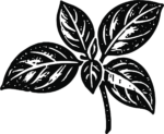 Leaf Branch SVG Bold Woodcut Vector