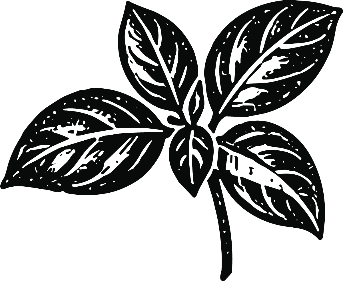 Leaf Branch SVG Bold Woodcut Vector - Image 1