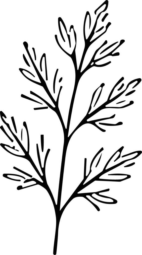 Leaf Branch SVG Delicate Botanical Vector
