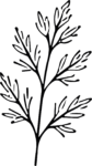 Leaf Branch SVG Delicate Botanical Vector