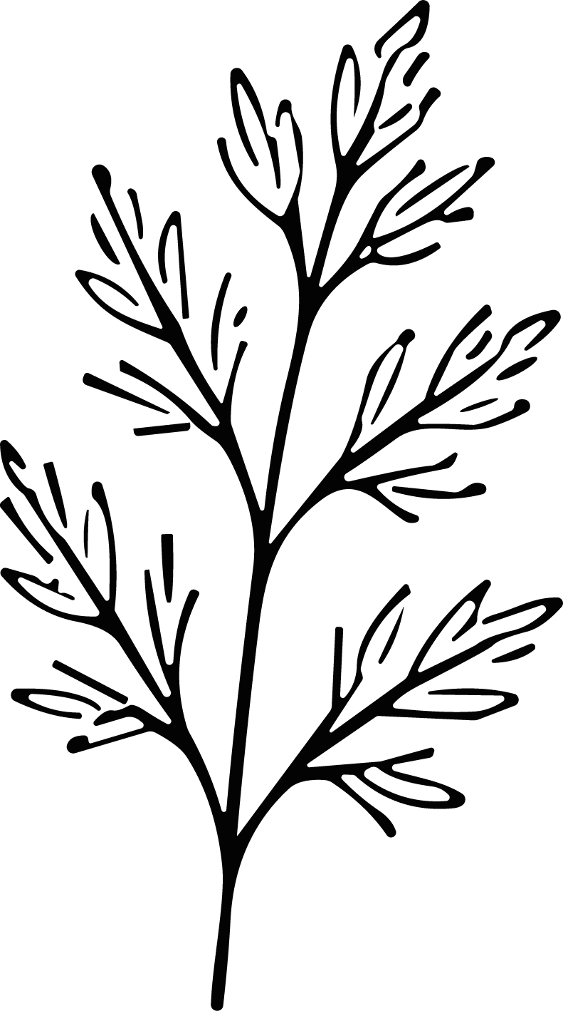 Leaf Branch SVG Delicate Botanical Vector - Image 1