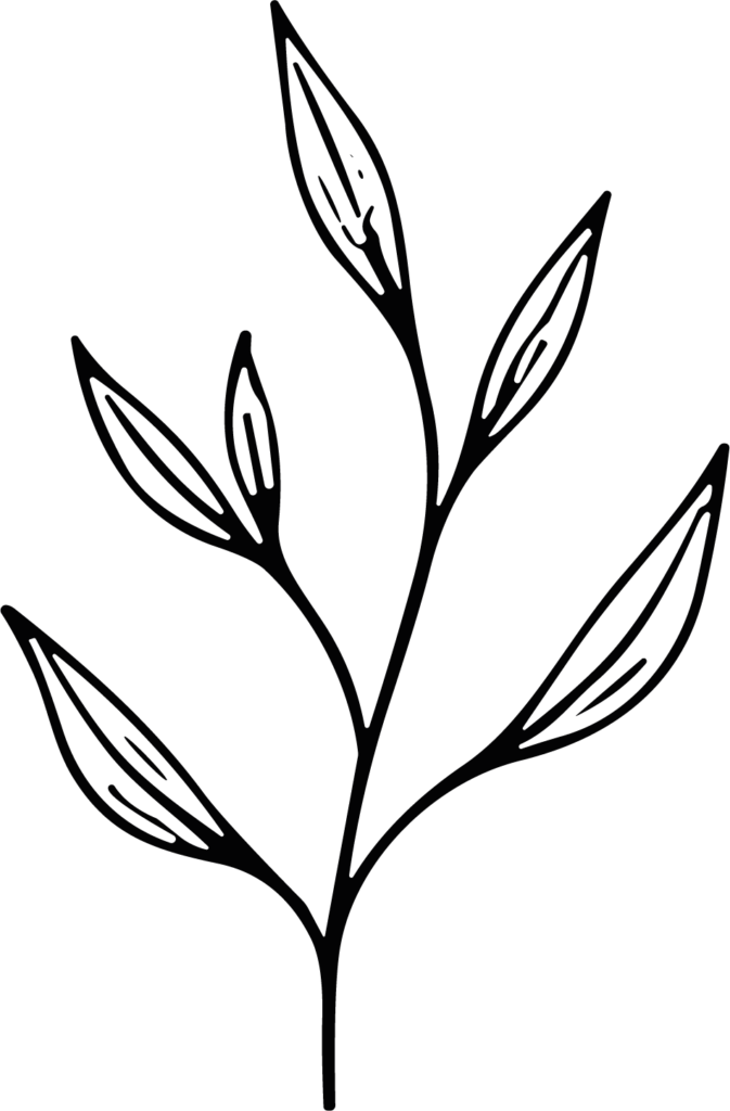 Leaf Branch SVG Delicate Sketch Vector