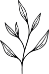 Leaf Branch SVG Delicate Sketch Vector