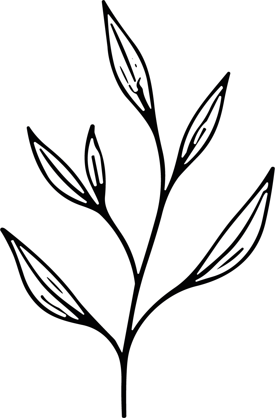 Leaf Branch SVG Delicate Sketch Vector - Image 1