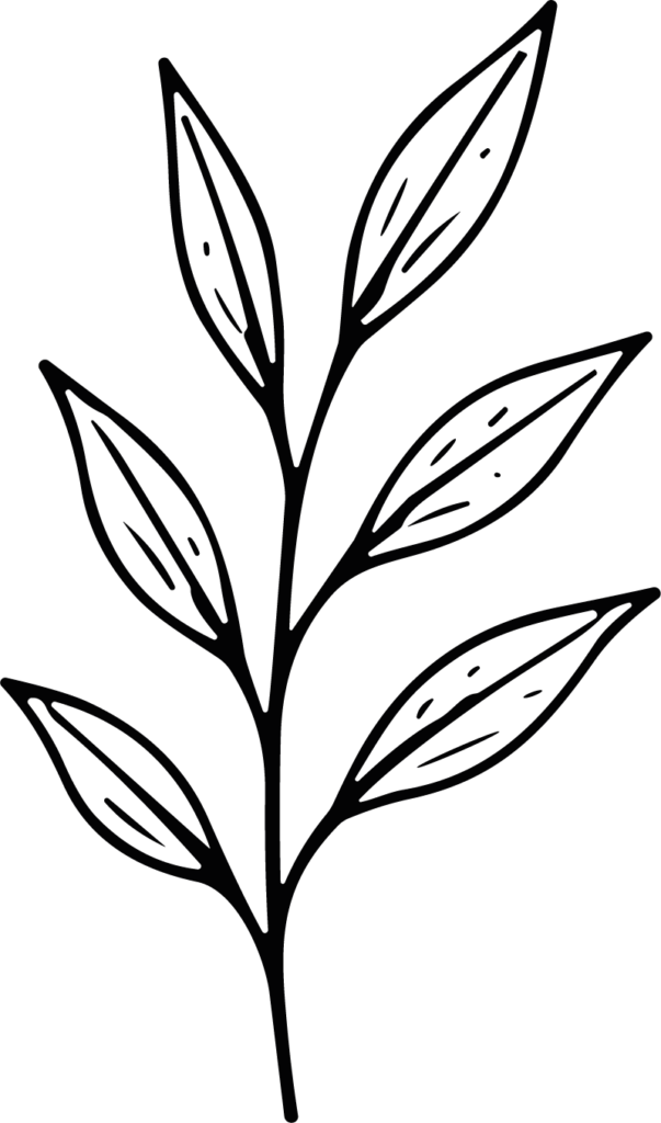 Leaf Branch SVG Botanical Line Sketch Vector