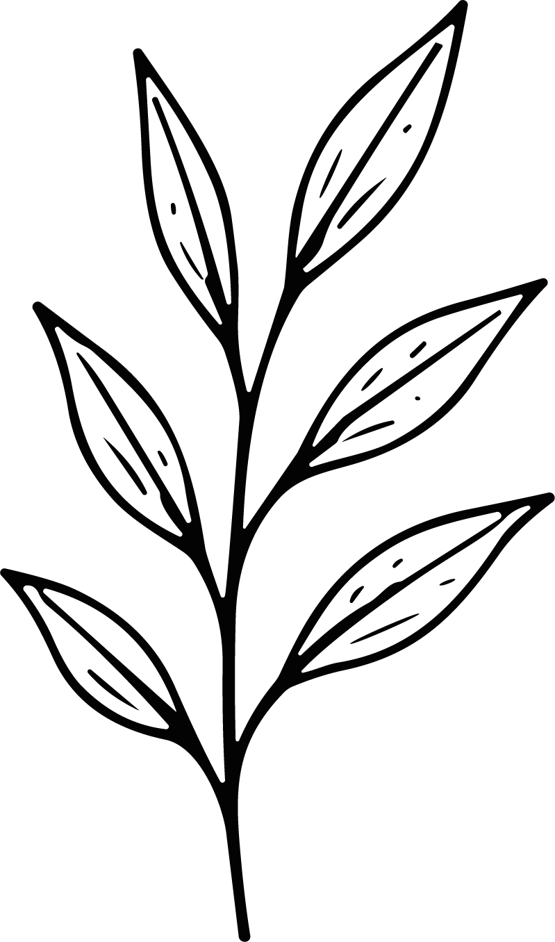 Leaf Branch SVG Botanical Line Sketch Vector - Image 1
