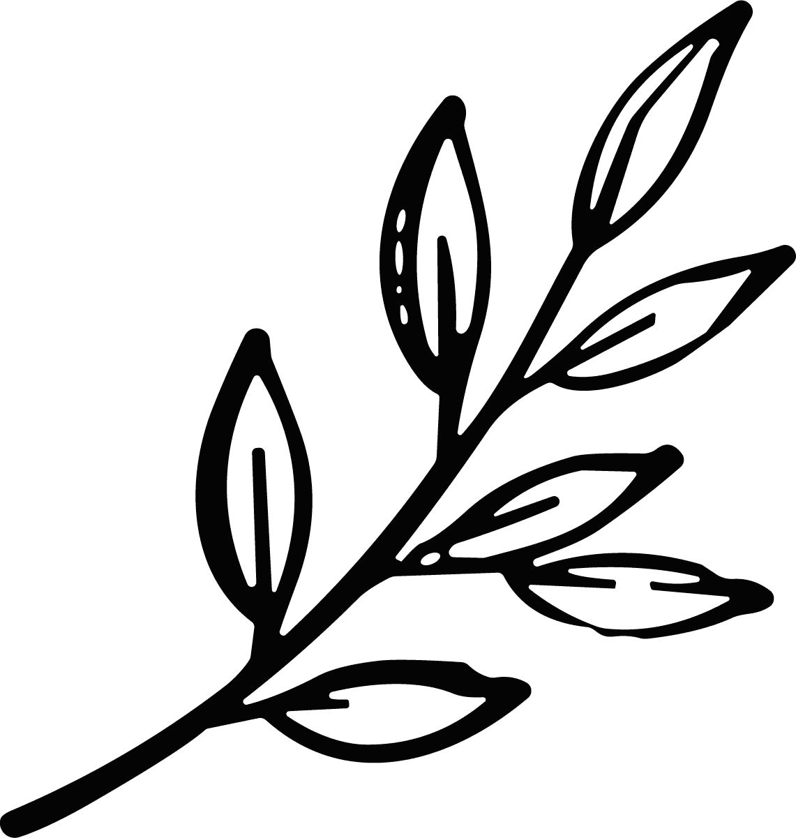Leaf Branch SVG Bold Sketch Vector - Image 1