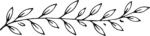 Leaf Branch SVG Hand-Sketched Botanical Vector