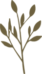 Leaf Branch SVG Organic Silhouette Vector