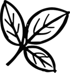 Leaf Cluster SVG Bold Botanical Vector