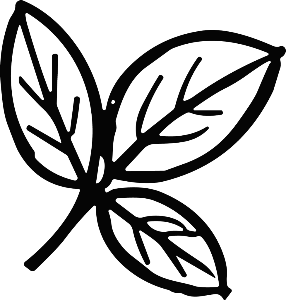 Leaf Cluster SVG Bold Botanical Vector