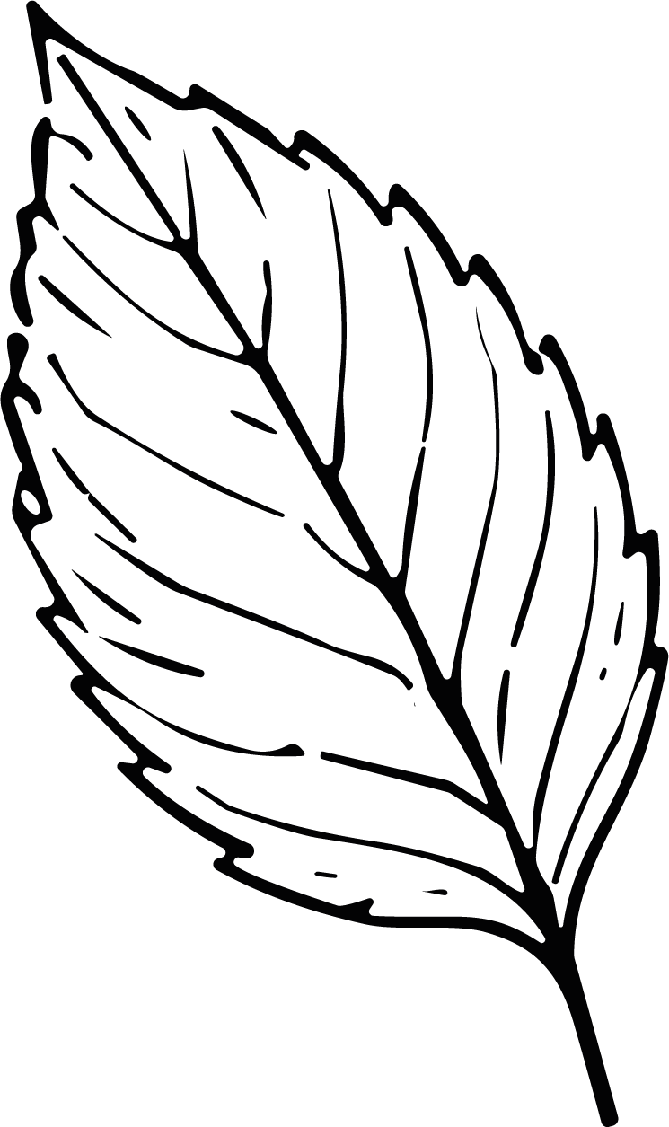Leaf Outline SVG Bold Botanical Vector - Image 1