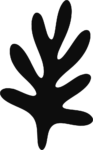 Leaf Silhouette SVG Organic Bold Vector