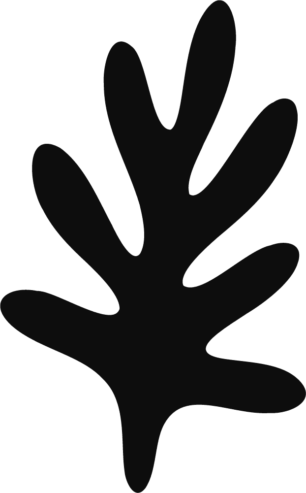 Leaf Silhouette SVG Organic Bold Vector