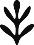 Leaf Silhouette SVG Bold Botanical Vector