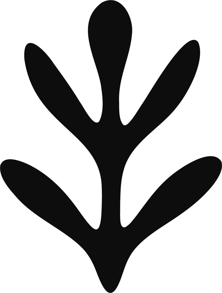 Leaf Silhouette SVG Bold Botanical Vector