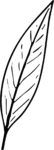 Leaf SVG Botanical Line Art Vector