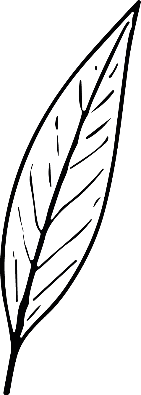 Leaf SVG Botanical Line Art Vector - Image 1