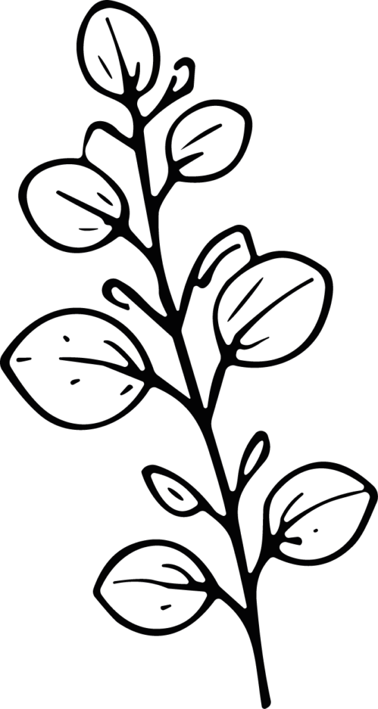 Leafy Branch SVG Botanical Outline Vector