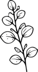 Leafy Branch SVG Botanical Outline Vector