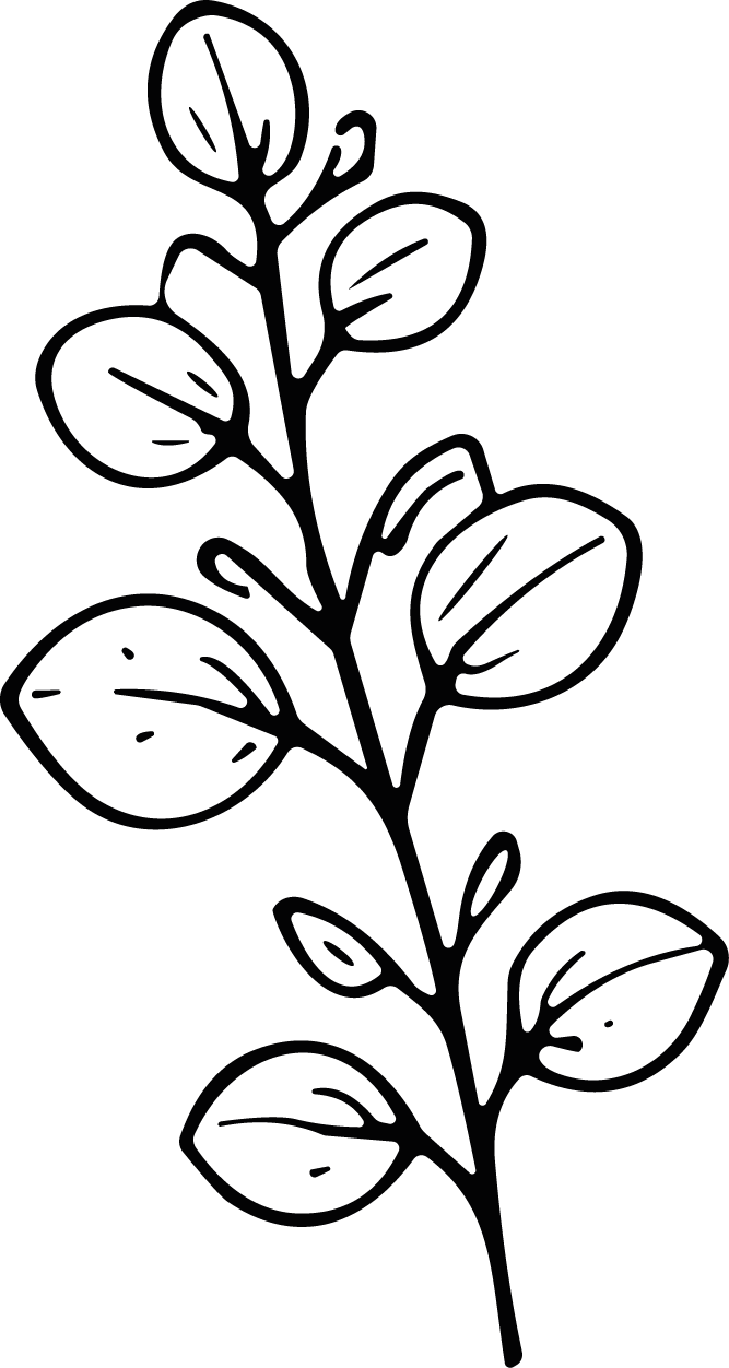 Leafy Branch SVG Botanical Outline Vector - Image 1