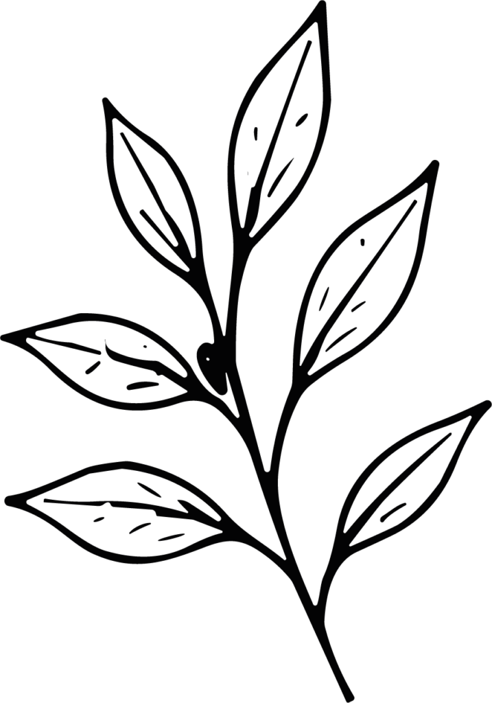 Leafy Branch SVG Delicate Sketch Vector