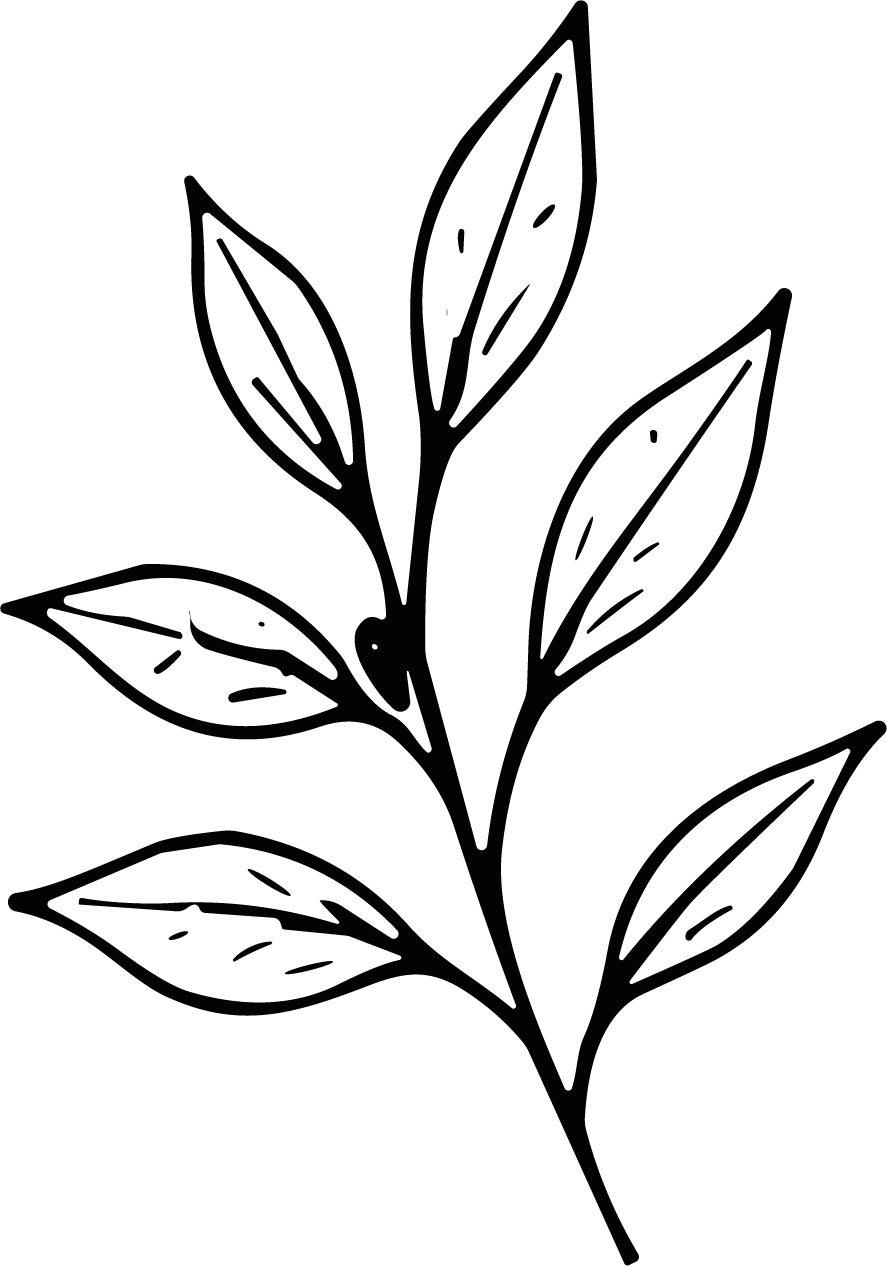 Leafy Branch SVG Delicate Sketch Vector - Image 1