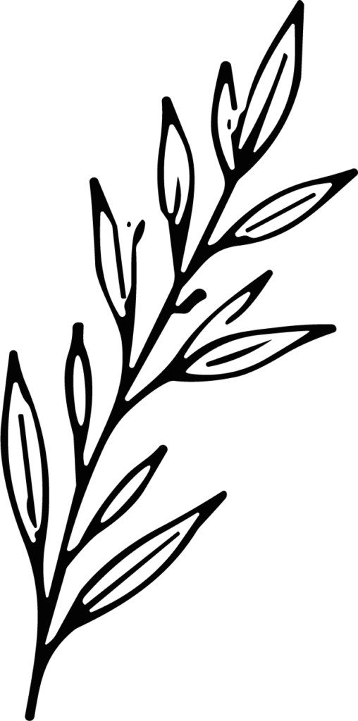Leafy Branch SVG Bold Botanical Vector