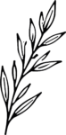 Leafy Branch SVG Bold Botanical Vector