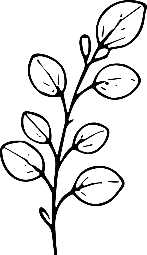 Leafy Branch SVG Botanical Outline Vector